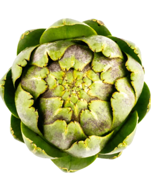 Antioxidants reduce glucose spikes