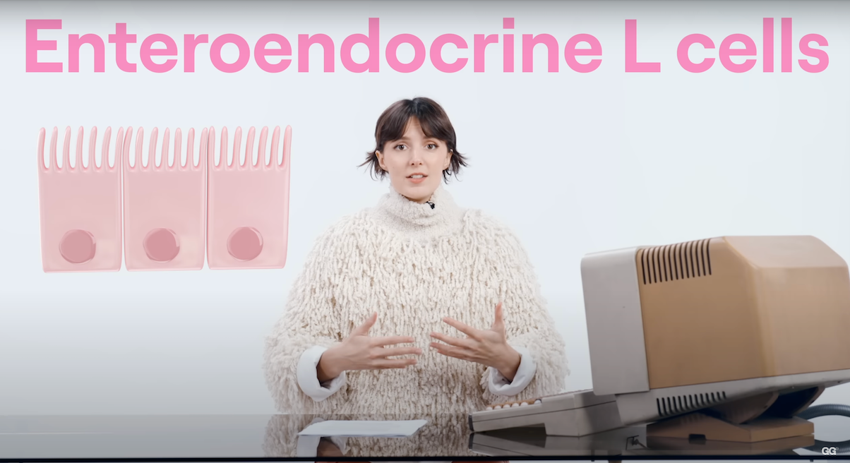Glucose Goddess: Jesse describing Enteroendocrine L cells