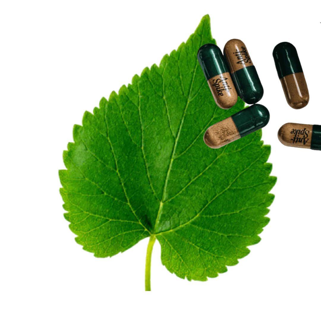 Mulberry leaf with anti-spike pills